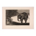Bolso azul bento elefantes "Dibujos de Goya"