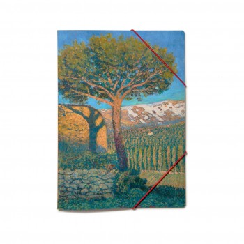 "The Pine at Béjar" Folder