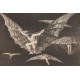 IXXI Sistema de decoración mural "Modo de poder volar los hombres con alas"