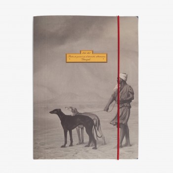 "Relay of Dogs in the Desert" Folder